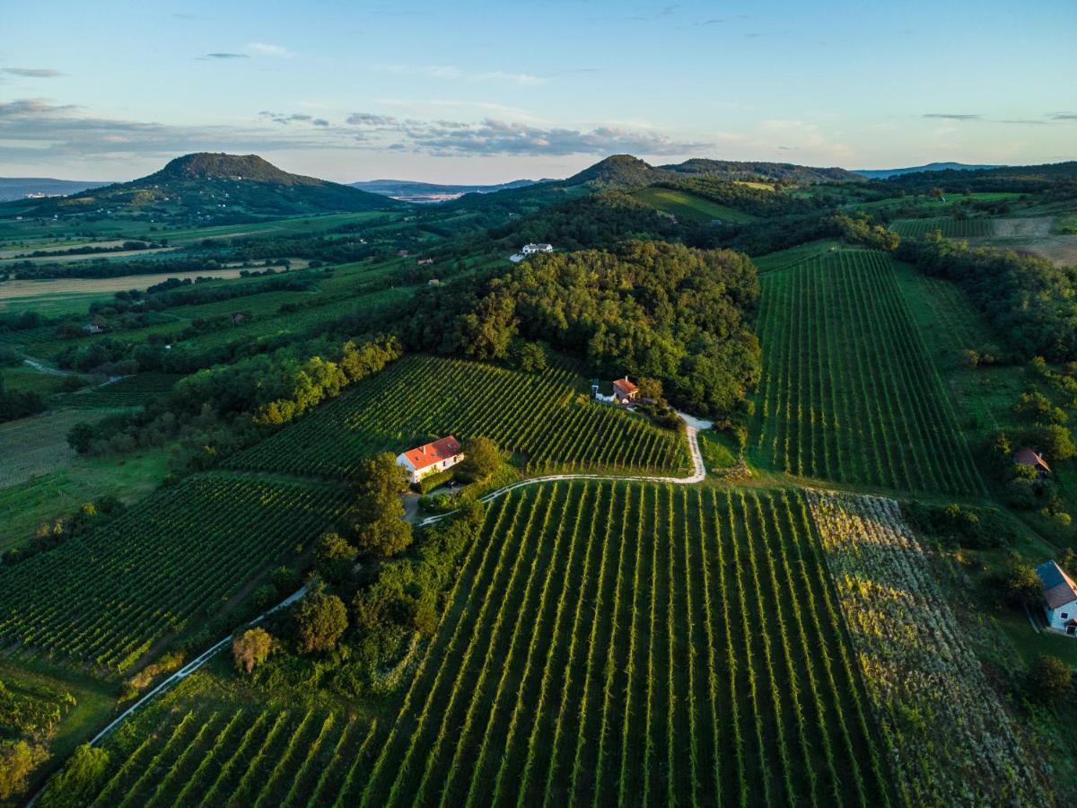Вілла Kali Panorama Birtok Mindszentkalla Екстер'єр фото